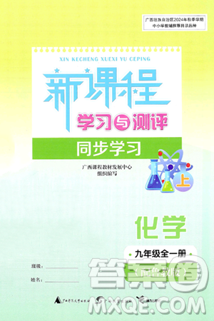 广西师范大学出版社2025年春新课程学习与测评同步学习九年级化学下册鲁教版答案