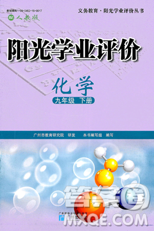 广州出版社2025年春阳光学业评价九年级化学下册人教版答案
