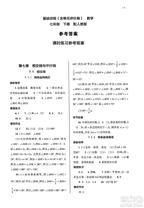 大象出版社2025年春基础训练七年级数学下册人教版答案 大象出版社2025年春基础训练七年级数学下册人教版答案