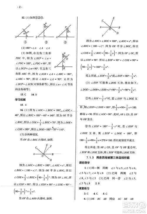 大象出版社2025年春基础训练七年级数学下册人教版答案 大象出版社2025年春基础训练七年级数学下册人教版答案