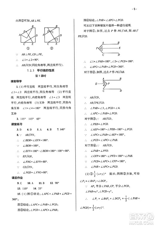 大象出版社2025年春基础训练七年级数学下册人教版答案 大象出版社2025年春基础训练七年级数学下册人教版答案