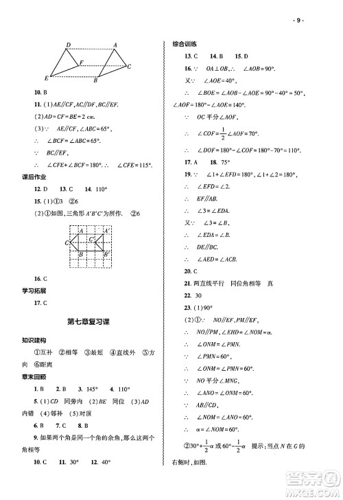 大象出版社2025年春基础训练七年级数学下册人教版答案 大象出版社2025年春基础训练七年级数学下册人教版答案