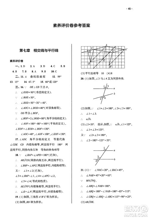 大象出版社2025年春基础训练七年级数学下册人教版答案 大象出版社2025年春基础训练七年级数学下册人教版答案