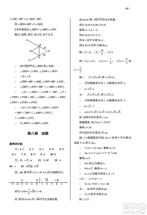 大象出版社2025年春基础训练七年级数学下册人教版答案 大象出版社2025年春基础训练七年级数学下册人教版答案