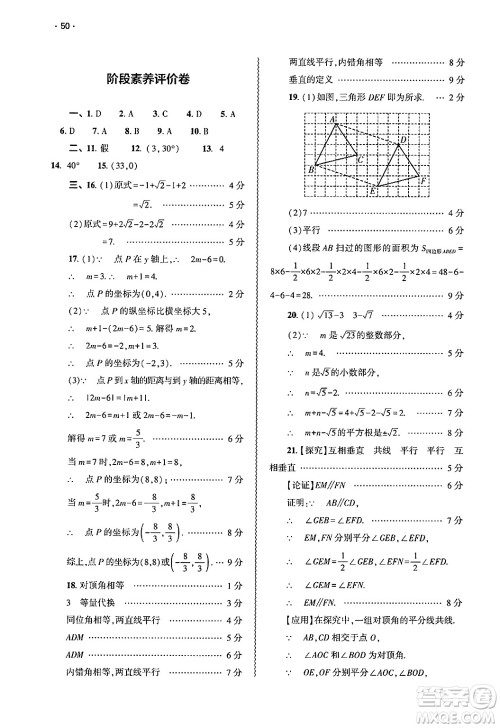 大象出版社2025年春基础训练七年级数学下册人教版答案 大象出版社2025年春基础训练七年级数学下册人教版答案