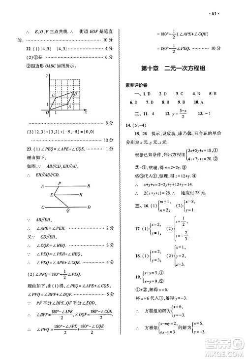 大象出版社2025年春基础训练七年级数学下册人教版答案 大象出版社2025年春基础训练七年级数学下册人教版答案