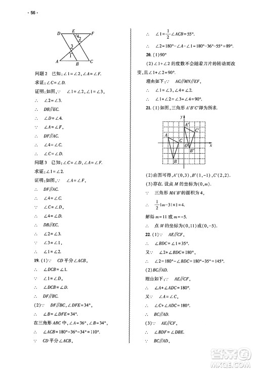 大象出版社2025年春基础训练七年级数学下册人教版答案 大象出版社2025年春基础训练七年级数学下册人教版答案