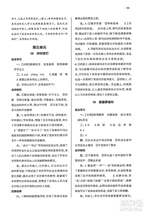大象出版社2025年春基础训练七年级语文下册人教版答案 大象出版社2025年春基础训练七年级语文下册人教版答案