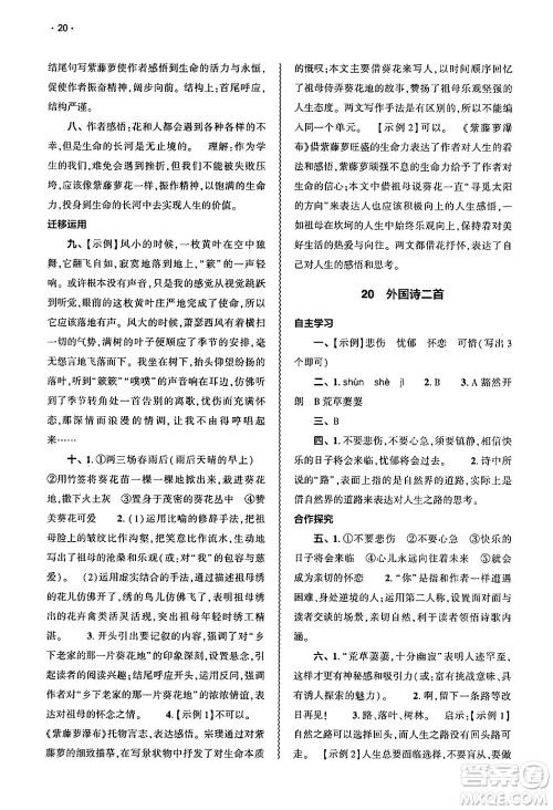 大象出版社2025年春基础训练七年级语文下册人教版答案 大象出版社2025年春基础训练七年级语文下册人教版答案