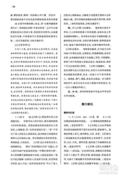 大象出版社2025年春基础训练七年级语文下册人教版答案 大象出版社2025年春基础训练七年级语文下册人教版答案
