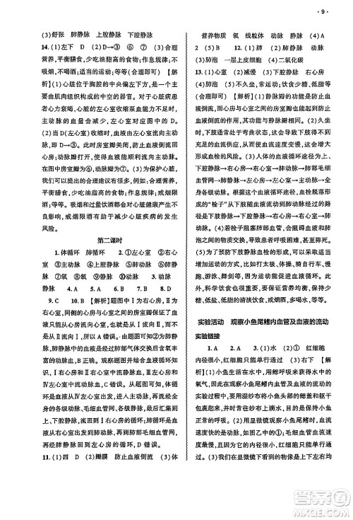 大象出版社2025年春基础训练七年级生物下册人教版答案 大象出版社2025年春基础训练七年级生物下册人教版答案