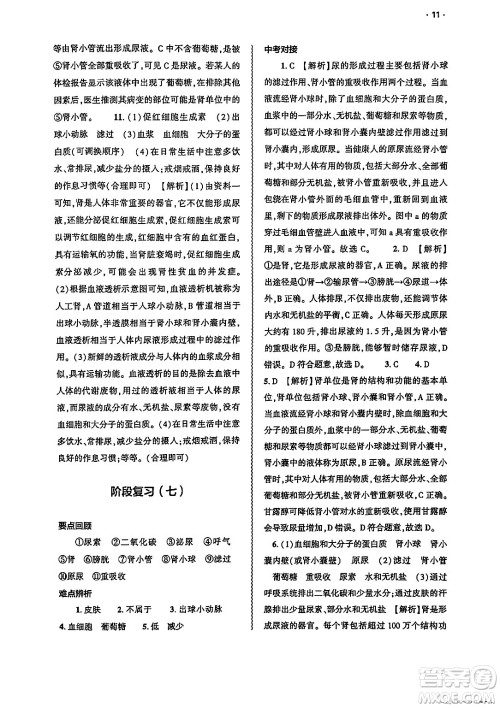 大象出版社2025年春基础训练七年级生物下册人教版答案 大象出版社2025年春基础训练七年级生物下册人教版答案