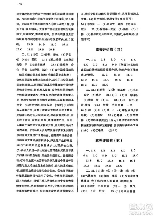 大象出版社2025年春基础训练七年级生物下册人教版答案 大象出版社2025年春基础训练七年级生物下册人教版答案