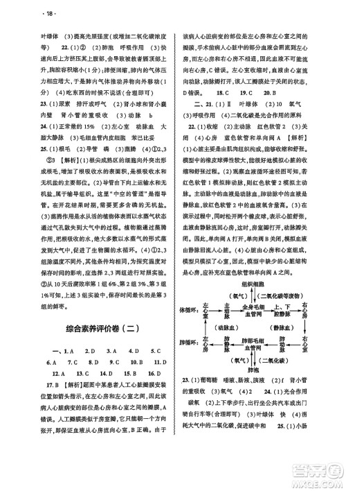 大象出版社2025年春基础训练七年级生物下册人教版答案 大象出版社2025年春基础训练七年级生物下册人教版答案