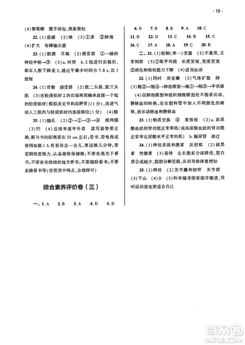 大象出版社2025年春基础训练七年级生物下册北师大版答案 大象出版社2025年春基础训练七年级生物下册北师大版答案