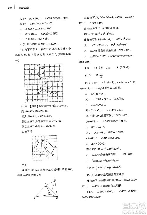 大象出版社2025年春基础训练八年级数学下册北师大版答案