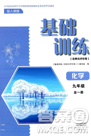 大象出版社2025年春基础训练九年级化学下册人教版答案