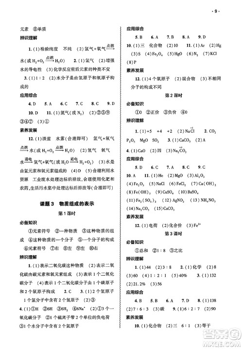 大象出版社2025年春基础训练九年级化学下册人教版答案