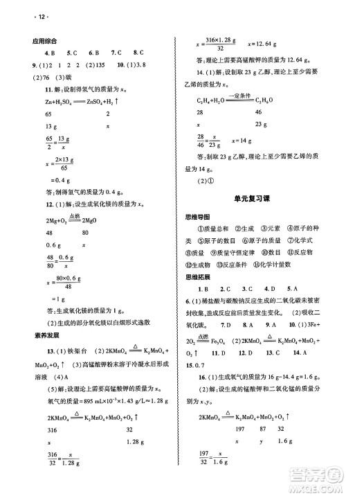 大象出版社2025年春基础训练九年级化学下册人教版答案