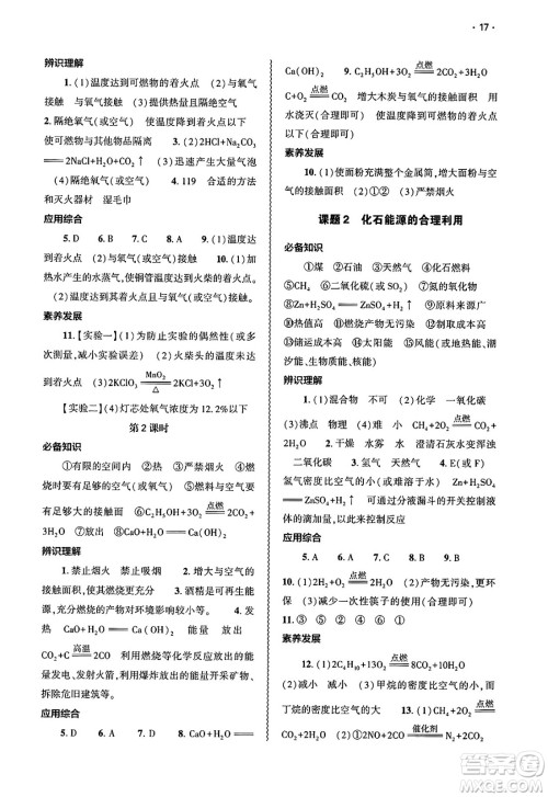 大象出版社2025年春基础训练九年级化学下册人教版答案