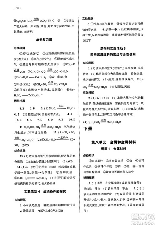 大象出版社2025年春基础训练九年级化学下册人教版答案