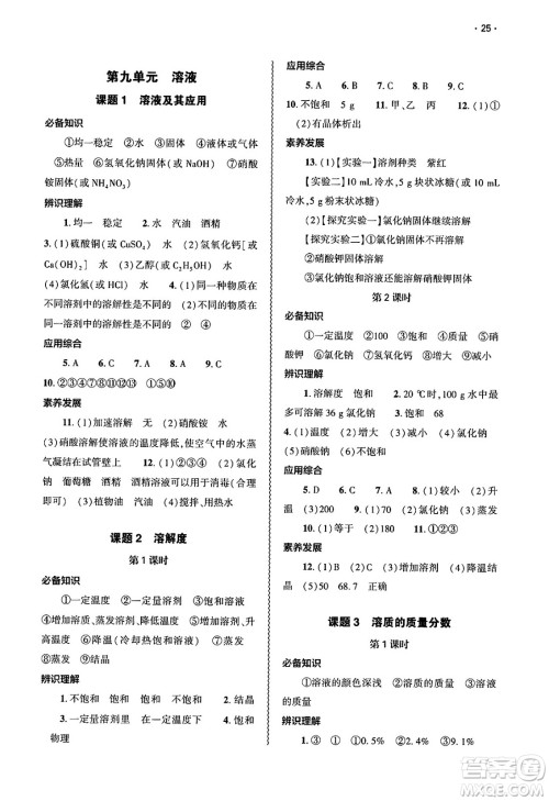 大象出版社2025年春基础训练九年级化学下册人教版答案