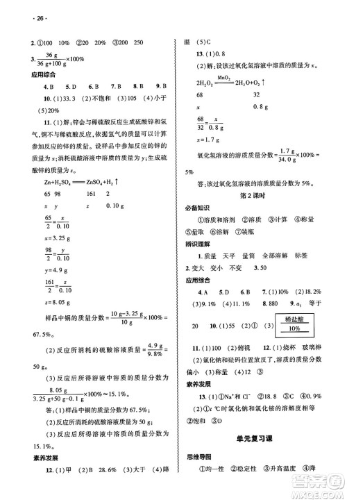 大象出版社2025年春基础训练九年级化学下册人教版答案