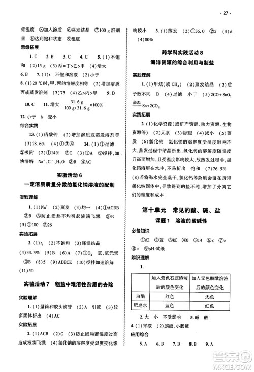 大象出版社2025年春基础训练九年级化学下册人教版答案