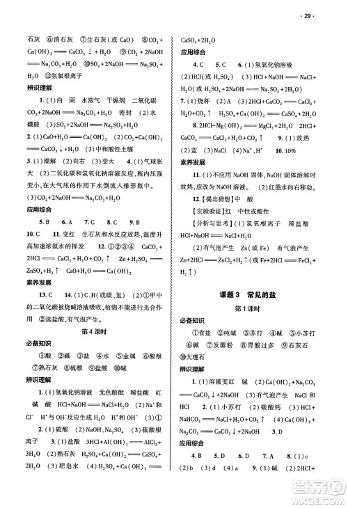 大象出版社2025年春基础训练九年级化学下册人教版答案