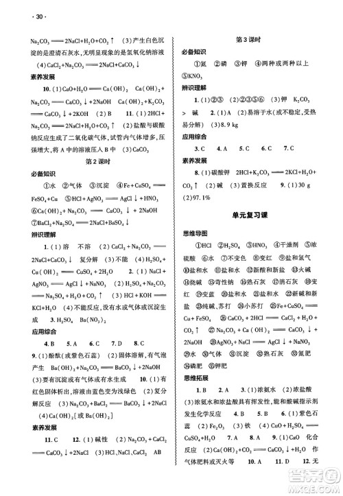 大象出版社2025年春基础训练九年级化学下册人教版答案