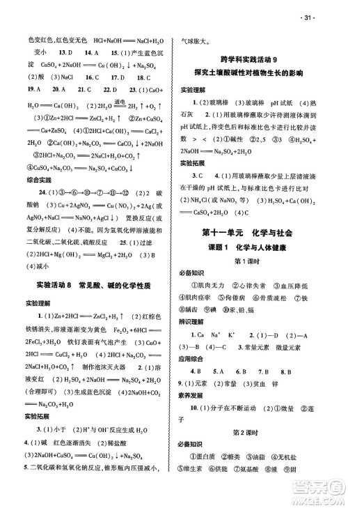 大象出版社2025年春基础训练九年级化学下册人教版答案