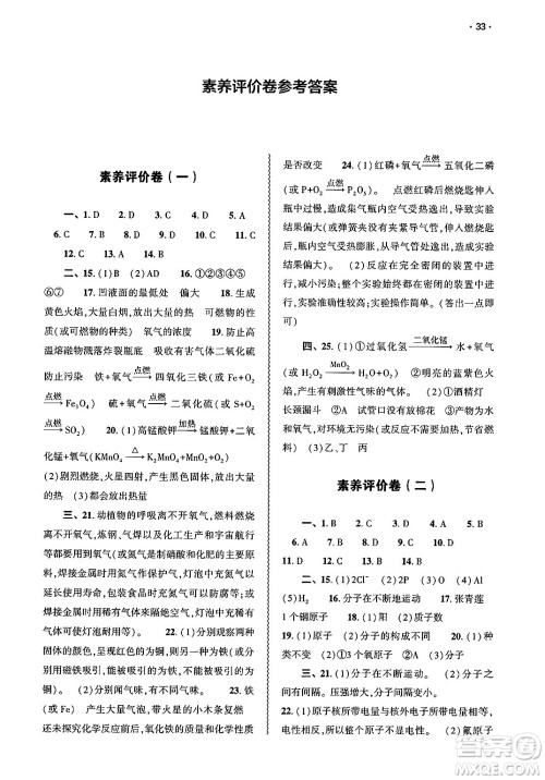 大象出版社2025年春基础训练九年级化学下册人教版答案