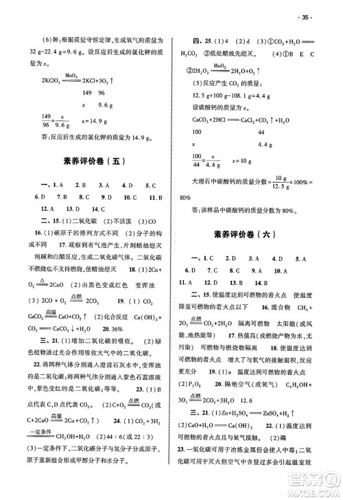 大象出版社2025年春基础训练九年级化学下册人教版答案
