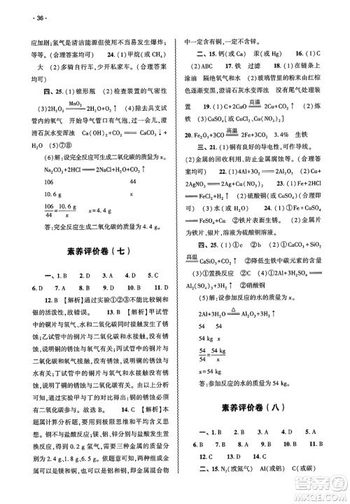 大象出版社2025年春基础训练九年级化学下册人教版答案