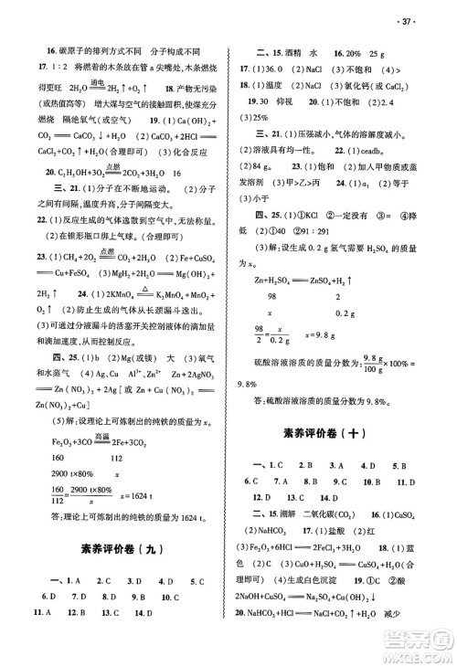 大象出版社2025年春基础训练九年级化学下册人教版答案