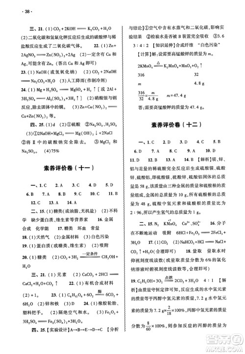 大象出版社2025年春基础训练九年级化学下册人教版答案