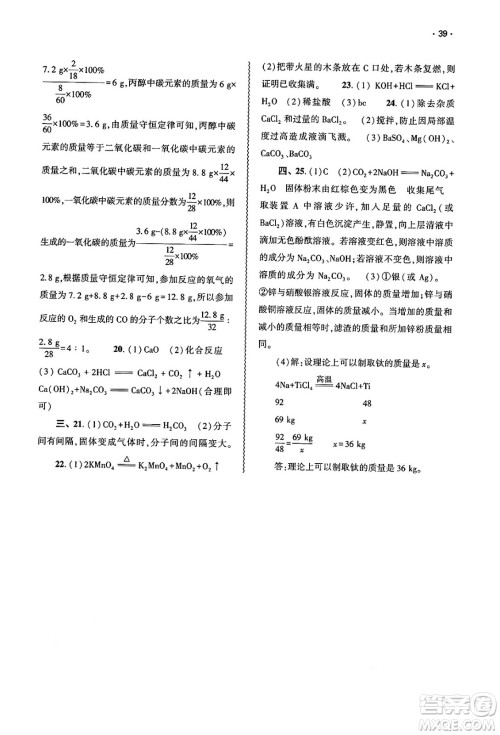 大象出版社2025年春基础训练九年级化学下册人教版答案