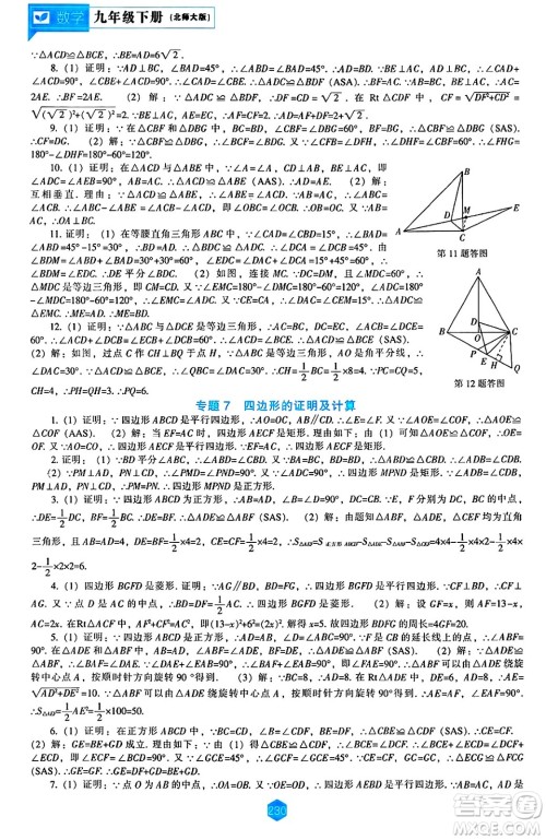 辽海出版社2025年春新课程能力培养九年级数学下册北师大版答案 辽海出版社2025年春新课程能力培养九年级数学下册北师大版答案