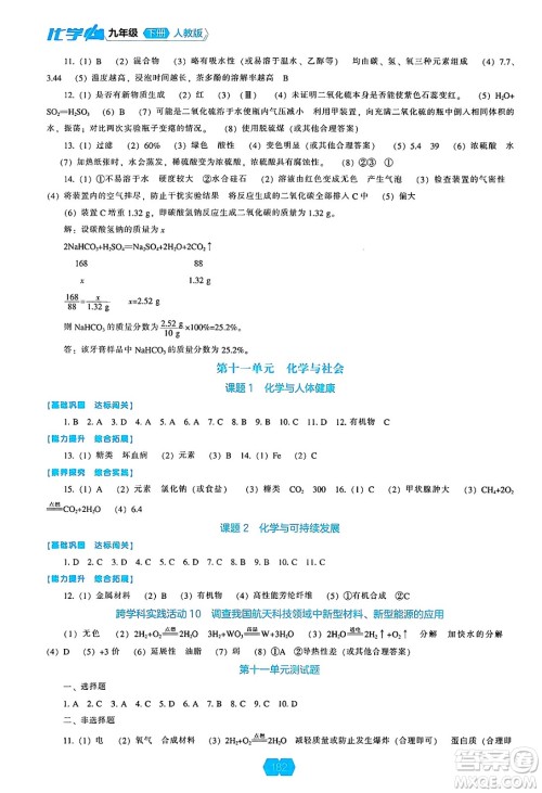 辽海出版社2025年春新课程能力培养九年级化学下册人教版答案 辽海出版社2025年春新课程能力培养九年级化学下册人教版答案