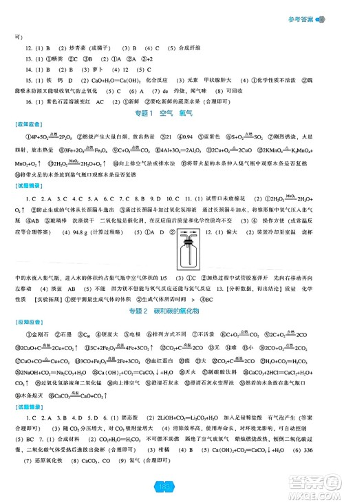 辽海出版社2025年春新课程能力培养九年级化学下册人教版答案 辽海出版社2025年春新课程能力培养九年级化学下册人教版答案