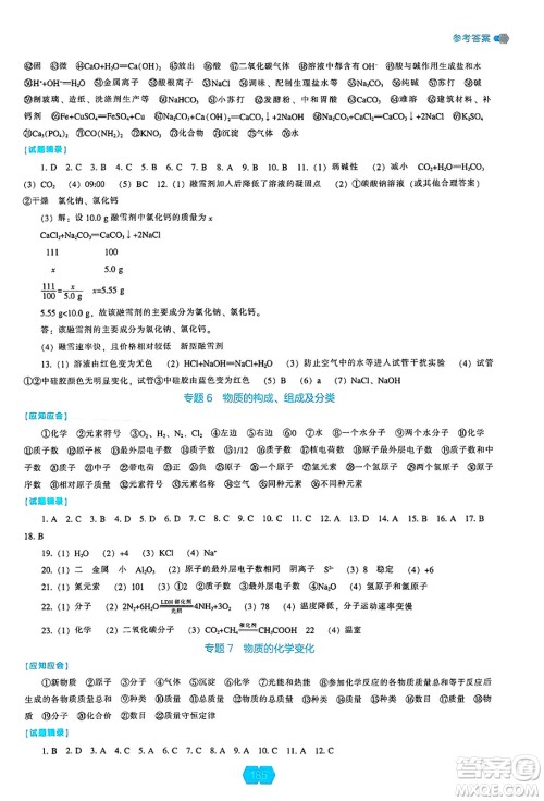辽海出版社2025年春新课程能力培养九年级化学下册人教版答案 辽海出版社2025年春新课程能力培养九年级化学下册人教版答案