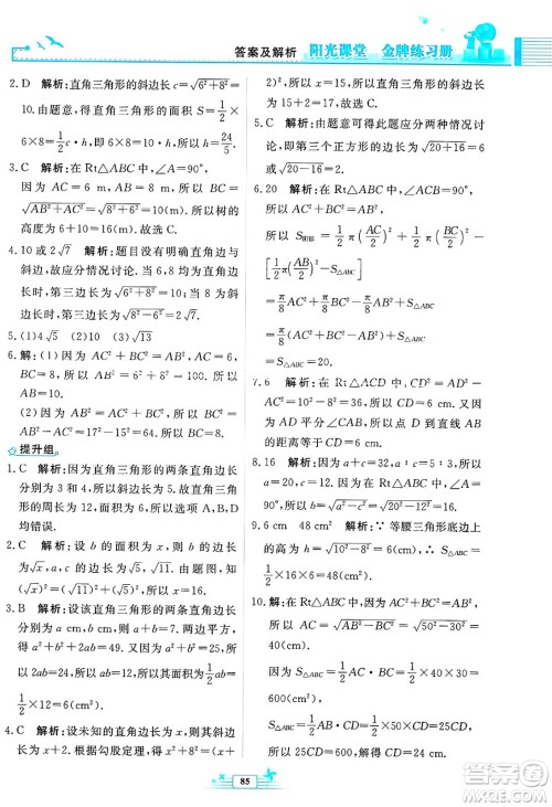 人民教育出版社2025年春阳光课堂金牌练习册八年级数学下册人教版福建专版答案 人民教育出版社2025年春阳光课堂金牌练习册八年级数学下册人教版福建专版答案