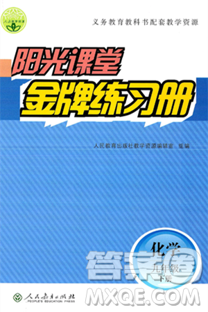 人民教育出版社2025年春阳光课堂金牌练习册九年级化学下册人教版答案 人民教育出版社2025年春阳光课堂金牌练习册九年级化学下册人教版答案