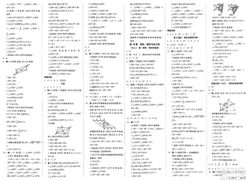 阳光出版社2025年春全品作业本八年级数学下册华师版福建专版答案 阳光出版社2025年春全品作业本八年级数学下册华师版福建专版答案
