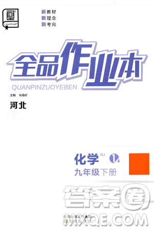沈阳出版社2025年春全品作业本九年级化学下册人教版河北专版答案