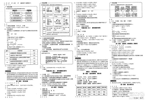 沈阳出版社2025年春全品作业本九年级化学下册人教版河北专版答案