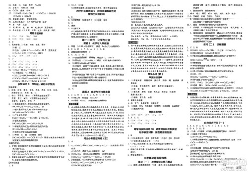 沈阳出版社2025年春全品作业本九年级化学下册人教版河北专版答案