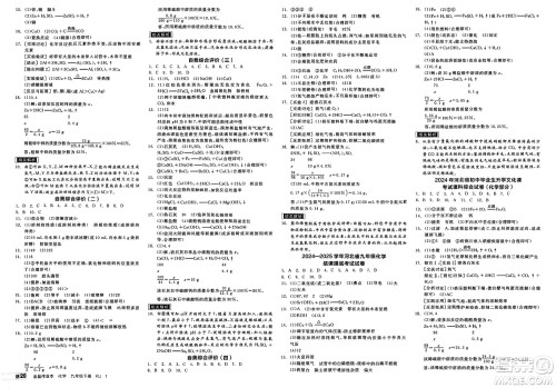 沈阳出版社2025年春全品作业本九年级化学下册人教版河北专版答案