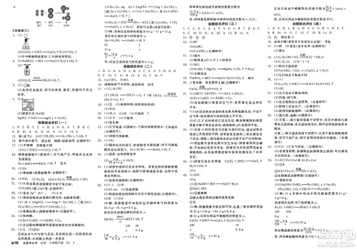 沈阳出版社2025年春全品作业本九年级化学下册人教版河南专版答案 沈阳出版社2025年春全品作业本九年级化学下册人教版河南专版答案