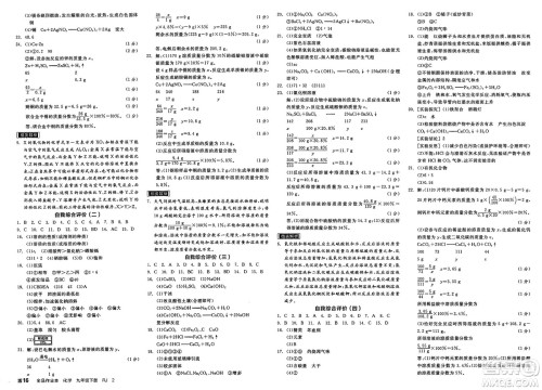 沈阳出版社2025年春全品作业本九年级化学下册人教版天津专版答案 沈阳出版社2025年春全品作业本九年级化学下册人教版天津专版答案